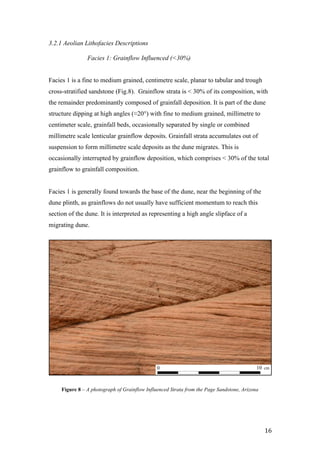   16	
  
3.2.1 Aeolian Lithofacies Descriptions	
  
Facies 1: Grainflow Influenced (<30%)
Facies 1 is a fine to medium grained, centimetre scale, planar to tabular and trough
cross-stratified sandstone (Fig.8). Grainflow strata is < 30% of its composition, with
the remainder predominantly composed of grainfall deposition. It is part of the dune
structure dipping at high angles (≈20°) with fine to medium grained, millimetre to
centimeter scale, grainfall beds, occasionally separated by single or combined
millimetre scale lenticular grainflow deposits. Grainfall strata accumulates out of
suspension to form millimetre scale deposits as the dune migrates. This is
occasionally interrupted by grainflow deposition, which comprises < 30% of the total
grainflow to grainfall composition.
Facies 1 is generally found towards the base of the dune, near the beginning of the
dune plinth, as grainflows do not usually have sufficient momentum to reach this
section of the dune. It is interpreted as representing a high angle slipface of a
migrating dune.	
  
0 10 cm
Figure 8 – A photograph of Grainflow Influenced Strata from the Page Sandstone, Arizona
 