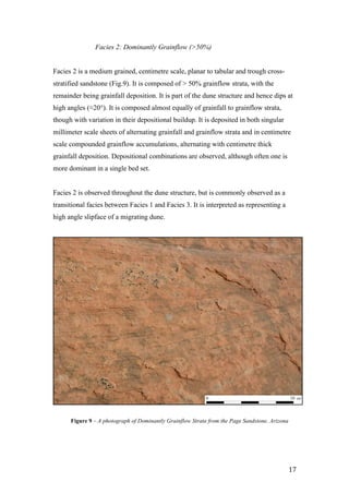   17	
  
Facies 2: Dominantly Grainflow (>50%)
Facies 2 is a medium grained, centimetre scale, planar to tabular and trough cross-
stratified sandstone (Fig.9). It is composed of > 50% grainflow strata, with the
remainder being grainfall deposition. It is part of the dune structure and hence dips at
high angles (≈20°). It is composed almost equally of grainfall to grainflow strata,
though with variation in their depositional buildup. It is deposited in both singular
millimeter scale sheets of alternating grainfall and grainflow strata and in centimetre
scale compounded grainflow accumulations, alternating with centimetre thick
grainfall deposition. Depositional combinations are observed, although often one is
more dominant in a single bed set.
Facies 2 is observed throughout the dune structure, but is commonly observed as a
transitional facies between Facies 1 and Facies 3. It is interpreted as representing a
high angle slipface of a migrating dune.
0 10 cm
Figure 9 – A photograph of Dominantly Grainflow Strata from the Page Sandstone, Arizona
 