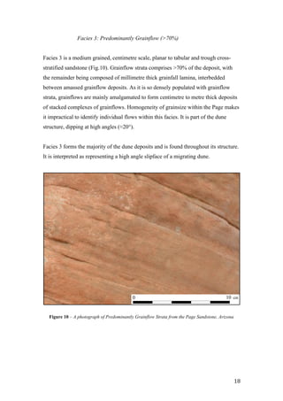   18	
  
Facies 3: Predominantly Grainflow (>70%)
Facies 3 is a medium grained, centimetre scale, planar to tabular and trough cross-
stratified sandstone (Fig.10). Grainflow strata comprises >70% of the deposit, with
the remainder being composed of millimetre thick grainfall lamina, interbedded
between amassed grainflow deposits. As it is so densely populated with grainflow
strata, grainflows are mainly amalgamated to form centimetre to metre thick deposits
of stacked complexes of grainflows. Homogeneity of grainsize within the Page makes
it impractical to identify individual flows within this facies. It is part of the dune
structure, dipping at high angles (≈20°).
Facies 3 forms the majority of the dune deposits and is found throughout its structure.
It is interpreted as representing a high angle slipface of a migrating dune.
0 10 cm
Figure 10 – A photograph of Predominantly Grainflow Strata from the Page Sandstone, Arizona
 