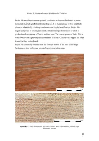   20	
  
Facies 5: Coarse Grained Wind Rippled Laimina
Facies 5 is a medium to coarse grained, centimetre scale cross-laminated to planar
laminated inversely graded sandstone (Fig.12). It is characterized by low amplitude
planar to subcritically climbing translatent wind rippled stratification. Facies 5 is
largely composed of coarse grain sands, differentiating it from facies 4, which is
predominantly composed of fine to medium sand. The coarser grains of facies 5 form
wind ripples with higher amplitudes than that of facies 4. These wind ripples are often
draped by finer grained sand.
Facies 5 is commonly found within the first few metres of the base of the Page
Sandstone, with a preference towards lower topographic areas.
0 5 cm
0 2 cm
Figure 12 – A set of photographs of Coarse Grained Wind Rippled Strata from the Page
Sandstone, Arizona
 