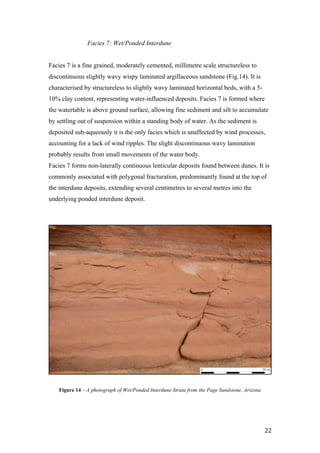   22	
  
Facies 7: Wet/Ponded Interdune
Facies 7 is a fine grained, moderately cemented, millimetre scale structureless to
discontinuous slightly wavy wispy laminated argillaceous sandstone (Fig.14). It is
characterised by structureless to slightly wavy laminated horizontal beds, with a 5-
10% clay content, representing water-influenced deposits. Facies 7 is formed where
the watertable is above ground surface, allowing fine sediment and silt to accumulate
by settling out of suspension within a standing body of water. As the sediment is
deposited sub-aqueously it is the only facies which is unaffected by wind processes,
accounting for a lack of wind ripples. The slight discontinuous wavy lamination
probably results from small movements of the water body.
Facies 7 forms non-laterally continuous lenticular deposits found between dunes. It is
commonly associated with polygonal fracturation, predominantly found at the top of
the interdune deposits, extending several centimetres to several metres into the
underlying ponded interdune deposit.
0 10 cm
Figure 14 – A photograph of Wet/Ponded Interdune Strata from the Page Sandstone, Arizona
 