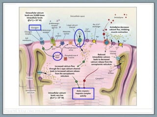 Harris NS. N Engl J Med 2006;355:602-611
 