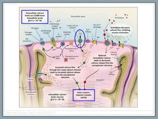 Harris NS. N Engl J Med 2006;355:602-611
 