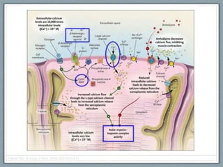 Harris NS. N Engl J Med 2006;355:602-611
 