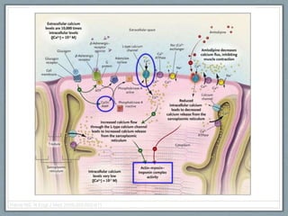 Harris NS. N Engl J Med 2006;355:602-611
 