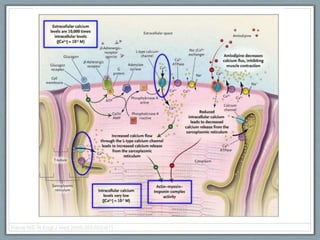 Harris NS. N Engl J Med 2006;355:602-611
 