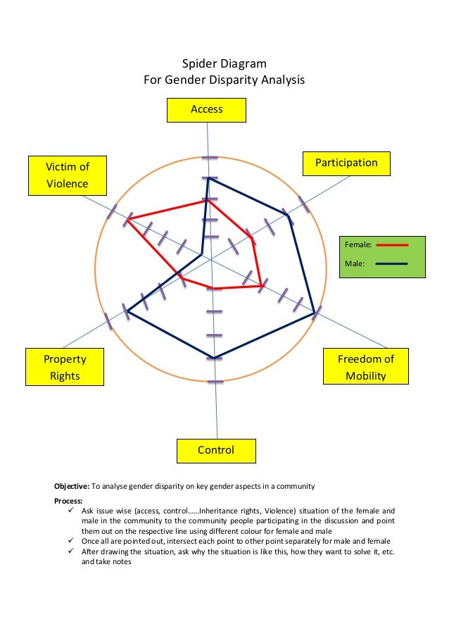 spider diagram