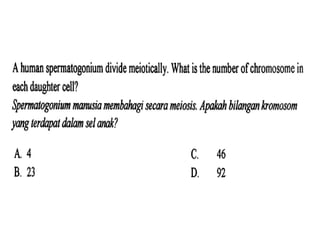 F4 cell division