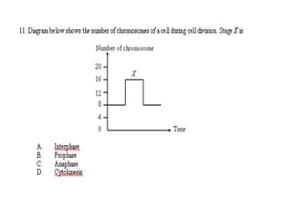 F4 cell division