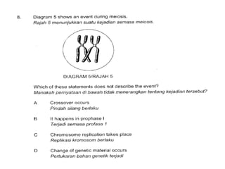 F4 cell division