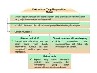 Faktor-faktor Yang Menyebabkan
Mutasi
 Mutasi adalah perubahan secara spontan yang diakibatkan oleh kesilapan
yang terjadi semasa pembahagian sel.
 Ia boleh diaruhkan oleh faktor luaran yang dikenali sebagai mutagen.
 Contoh mutagen : -
Sinaran radioaktif
 Seperti sinar alfa, sinar beta dan
sinar gama yang boleh
menembusi nukleus sel dan
mengubah struktur gen atau
kromosom.
Sinar-X dan sinar ultralembayung
 Boleh menembusi dan
memusnahkan sel hidup lalu
menyebabkan kanser.
Bahan kimia
 Seperti asap rokok, benzena,
pestisid, racun serangga dan
formaldehid yang boleh
memusnahkan mutasi atau kanser.
 