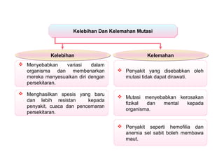  Menyebabkan variasi dalam
organisma dan membenarkan
mereka menyesuaikan diri dengan
persekitaran.
Kelebihan Dan Kelemahan MutasiKelebihan Dan Kelemahan Mutasi
KelebihanKelebihan
 Penyakit yang disebabkan oleh
mutasi tidak dapat dirawati.
KelemahanKelemahan
 Menghasilkan spesis yang baru
dan lebih resistan kepada
penyakit, cuaca dan pencemaran
persekitaran.
 Mutasi menyebabkan kerosakan
fizikal dan mental kepada
organisma.
 Penyakit seperti hemofilia dan
anemia sel sabit boleh membawa
maut.
 