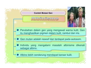 Contoh Mutasi GenContoh Mutasi Gen
Perubahan dalam gen yang mengawal warna kulit. Gen
itu menghasilkan pigmen dalam kulit, rambut dan iris.
Perubahan dalam gen yang mengawal warna kulit. Gen
itu menghasilkan pigmen dalam kulit, rambut dan iris.
Gen mutan adalah resesif dan terdapat pada autosom.Gen mutan adalah resesif dan terdapat pada autosom.
Individu yang mengalami masalah albinisme dikenali
sebagai albino.
Individu yang mengalami masalah albinisme dikenali
sebagai albino.
Albino lebih cenderung mendapat kanser kulit.Albino lebih cenderung mendapat kanser kulit.
 