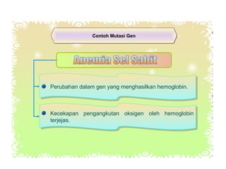 Contoh Mutasi GenContoh Mutasi Gen
Perubahan dalam gen yang menghasilkan hemoglobin.Perubahan dalam gen yang menghasilkan hemoglobin.
Kecekapan pengangkutan oksigen oleh hemoglobin
terjejas.
Kecekapan pengangkutan oksigen oleh hemoglobin
terjejas.
 