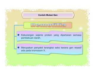 Contoh Mutasi GenContoh Mutasi Gen
Kekurangan sejenis protein yang diperlukan semasa
pembekuan darah.
Kekurangan sejenis protein yang diperlukan semasa
pembekuan darah.
Merupakan penyakit terangkai seks kerana gen resesif
ada pada kromosom X.
Merupakan penyakit terangkai seks kerana gen resesif
ada pada kromosom X.
 
