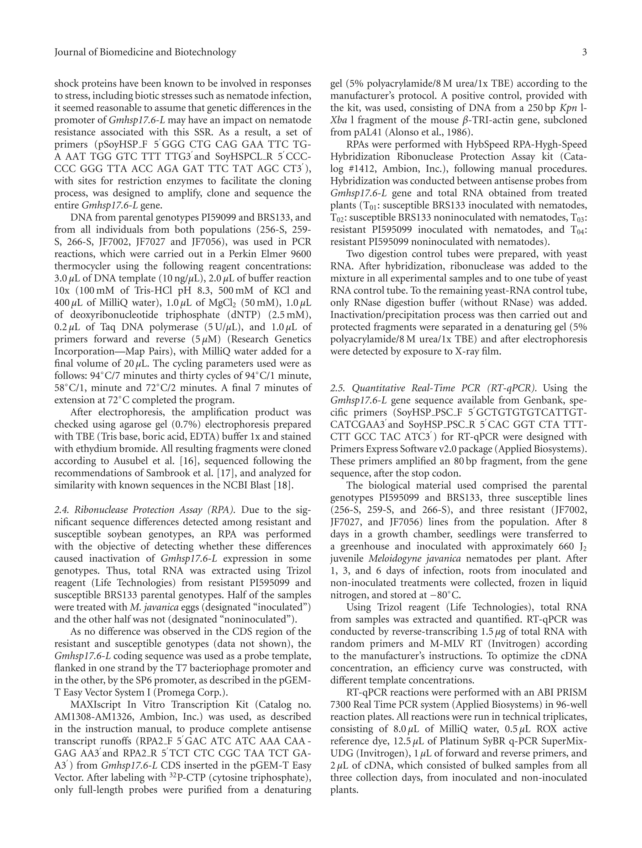 Journal of Biomedicine and Biotechnology 3
shock proteins have been known to be involved in responses
to stress, including biotic stresses such as nematode infection,
it seemed reasonable to assume that genetic diﬀerences in the
promoter of Gmhsp17.6-L may have an impact on nematode
resistance associated with this SSR. As a result, a set of
primers (pSoyHSP F 5 GGG CTG CAG GAA TTC TG-
A AAT TGG GTC TTT TTG3 and SoyHSPCL R 5 CCC-
CCC GGG TTA ACC AGA GAT TTC TAT AGC CT3 ),
with sites for restriction enzymes to facilitate the cloning
process, was designed to amplify, clone and sequence the
entire Gmhsp17.6-L gene.
DNA from parental genotypes PI59099 and BRS133, and
from all individuals from both populations (256-S, 259-
S, 266-S, JF7002, JF7027 and JF7056), was used in PCR
reactions, which were carried out in a Perkin Elmer 9600
thermocycler using the following reagent concentrations:
3.0 μL of DNA template (10 ng/μL), 2.0 μL of buﬀer reaction
10x (100 mM of Tris-HCl pH 8.3, 500 mM of KCl and
400 μL of MilliQ water), 1.0 μL of MgCl2 (50 mM), 1.0 μL
of deoxyribonucleotide triphosphate (dNTP) (2.5 mM),
0.2 μL of Taq DNA polymerase (5 U/μL), and 1.0 μL of
primers forward and reverse (5 μM) (Research Genetics
Incorporation—Map Pairs), with MilliQ water added for a
ﬁnal volume of 20 μL. The cycling parameters used were as
follows: 94◦
C/7 minutes and thirty cycles of 94◦
C/1 minute,
58◦
C/1, minute and 72◦
C/2 minutes. A ﬁnal 7 minutes of
extension at 72◦
C completed the program.
After electrophoresis, the ampliﬁcation product was
checked using agarose gel (0.7%) electrophoresis prepared
with TBE (Tris base, boric acid, EDTA) buﬀer 1x and stained
with ethydium bromide. All resulting fragments were cloned
according to Ausubel et al. [16], sequenced following the
recommendations of Sambrook et al. [17], and analyzed for
similarity with known sequences in the NCBI Blast [18].
2.4. Ribonuclease Protection Assay (RPA). Due to the sig-
niﬁcant sequence diﬀerences detected among resistant and
susceptible soybean genotypes, an RPA was performed
with the objective of detecting whether these diﬀerences
caused inactivation of Gmhsp17.6-L expression in some
genotypes. Thus, total RNA was extracted using Trizol
reagent (Life Technologies) from resistant PI595099 and
susceptible BRS133 parental genotypes. Half of the samples
were treated with M. javanica eggs (designated “inoculated”)
and the other half was not (designated “noninoculated”).
As no diﬀerence was observed in the CDS region of the
resistant and susceptible genotypes (data not shown), the
Gmhsp17.6-L coding sequence was used as a probe template,
ﬂanked in one strand by the T7 bacteriophage promoter and
in the other, by the SP6 promoter, as described in the pGEM-
T Easy Vector System I (Promega Corp.).
MAXIscript In Vitro Transcription Kit (Catalog no.
AM1308-AM1326, Ambion, Inc.) was used, as described
in the instruction manual, to produce complete antisense
transcript runoﬀs (RPA2 F 5 GAC ATC ATC AAA CAA -
GAG AA3 and RPA2 R 5 TCT CTC CGC TAA TCT GA-
A3 ) from Gmhsp17.6-L CDS inserted in the pGEM-T Easy
Vector. After labeling with 32P-CTP (cytosine triphosphate),
only full-length probes were puriﬁed from a denaturing
gel (5% polyacrylamide/8 M urea/1x TBE) according to the
manufacturer’s protocol. A positive control, provided with
the kit, was used, consisting of DNA from a 250 bp Kpn l-
Xba l fragment of the mouse β-TRI-actin gene, subcloned
from pAL41 (Alonso et al., 1986).
RPAs were performed with HybSpeed RPA-Hygh-Speed
Hybridization Ribonuclease Protection Assay kit (Cata-
log #1412, Ambion, Inc.), following manual procedures.
Hybridization was conducted between antisense probes from
Gmhsp17.6-L gene and total RNA obtained from treated
plants (T01: susceptible BRS133 inoculated with nematodes,
T02: susceptible BRS133 noninoculated with nematodes, T03:
resistant PI595099 inoculated with nematodes, and T04:
resistant PI595099 noninoculated with nematodes).
Two digestion control tubes were prepared, with yeast
RNA. After hybridization, ribonuclease was added to the
mixture in all experimental samples and to one tube of yeast
RNA control tube. To the remaining yeast-RNA control tube,
only RNase digestion buﬀer (without RNase) was added.
Inactivation/precipitation process was then carried out and
protected fragments were separated in a denaturing gel (5%
polyacrylamide/8 M urea/1x TBE) and after electrophoresis
were detected by exposure to X-ray ﬁlm.
2.5. Quantitative Real-Time PCR (RT-qPCR). Using the
Gmhsp17.6-L gene sequence available from Genbank, spe-
ciﬁc primers (SoyHSP PSC F 5 GCTGTGTGTCATTGT-
CATCGAA3 and SoyHSP PSC R 5 CAC GGT CTA TTT-
CTT GCC TAC ATC3 ) for RT-qPCR were designed with
Primers Express Software v2.0 package (Applied Biosystems).
These primers ampliﬁed an 80 bp fragment, from the gene
sequence, after the stop codon.
The biological material used comprised the parental
genotypes PI595099 and BRS133, three susceptible lines
(256-S, 259-S, and 266-S), and three resistant (JF7002,
JF7027, and JF7056) lines from the population. After 8
days in a growth chamber, seedlings were transferred to
a greenhouse and inoculated with approximately 660 J2
juvenile Meloidogyne javanica nematodes per plant. After
1, 3, and 6 days of infection, roots from inoculated and
non-inoculated treatments were collected, frozen in liquid
nitrogen, and stored at −80◦
C.
Using Trizol reagent (Life Technologies), total RNA
from samples was extracted and quantiﬁed. RT-qPCR was
conducted by reverse-transcribing 1.5 μg of total RNA with
random primers and M-MLV RT (Invitrogen) according
to the manufacturer’s instructions. To optimize the cDNA
concentration, an eﬃciency curve was constructed, with
diﬀerent template concentrations.
RT-qPCR reactions were performed with an ABI PRISM
7300 Real Time PCR system (Applied Biosystems) in 96-well
reaction plates. All reactions were run in technical triplicates,
consisting of 8.0 μL of MilliQ water, 0.5 μL ROX active
reference dye, 12.5 μL of Platinum SyBR q-PCR SuperMix-
UDG (Invitrogen), 1 μL of forward and reverse primers, and
2 μL of cDNA, which consisted of bulked samples from all
three collection days, from inoculated and non-inoculated
plants.
 