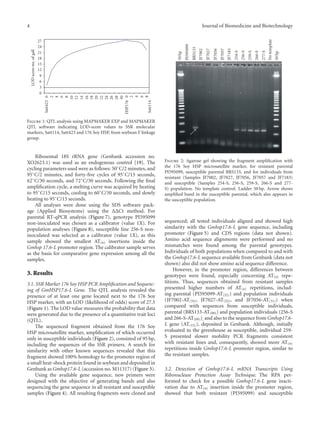 4 Journal of Biomedicine and Biotechnology
0
2
4
6
8
10
12
14
16
18
20
22
24
26
28
30
0
2
4
6
8
Satt423
HSP176
Satt114
0
3
6
9
12
15
18
21
24
27
LODscore-no.ofgall
Figure 1: QTL analysis using MAPMAKER EXP and MAPMAKER
QTL software indicating LOD-score values to SSR molecular
markers, Satt114, Satt423 and 176 Soy HSP, from soybean F linkage
group.
Ribosomal 18S rRNA gene (Genbank accession no.
XO2623.1) was used as an endogenous control [19]. The
cycling parameters used were as follows: 50◦
C/2 minutes, and
95◦
C/2 minutes, and forty-ﬁve cycles of 95◦
C/15 seconds,
62◦
C/30 seconds, and 72◦
C/30 seconds. Following the ﬁnal
ampliﬁcation cycle, a melting curve was acquired by heating
to 95◦
C/15 seconds, cooling to 60◦
C/30 seconds, and slowly
heating to 95◦
C/15 seconds.
All analyses were done using the SDS software pack-
age (Applied Biosystems) using the ΔΔCt method. For
parental RT-qPCR analysis (Figure 7), genotype PI595099
non-inoculated was chosen as a calibrator (value 1X). For
population analyses (Figure 8), susceptible line 256-S non-
inoculated was selected as a calibrator (value 1X), as this
sample showed the smallest AT(n) insertions inside the
Gmhsp 17.6-L promoter region. The calibrator sample serves
as the basis for comparative gene expression among all the
samples.
3. Results
3.1. SSR Marker 176 Soy HSP PCR Ampliﬁcation and Sequenc-
ing of GmHSP17.6-L Gene. The QTL analysis revealed the
presence of at least one gene located next to the 176 Soy
HSP marker, with an LOD (likelihood of odds) score of 27.5
(Figure 1). The LOD value measures the probability that data
were generated due to the presence of a quantitative trait loci
(QTL).
The sequenced fragment obtained from the 176 Soy
HSP microsatellite marker, ampliﬁcation of which occurred
only in susceptible individuals (Figure 2), consisted of 95 bp,
including the sequences of the SSR primers. A search for
similarity with other known sequences revealed that this
fragment showed 100% homology to the promoter region of
a small heat-shock protein found in soybean and deposited in
Genbank as Gmhsp17.6-L (accession no. M11317) (Figure 3).
Using the available gene sequence, new primers were
designed with the objective of generating bands and also
sequencing the gene sequence in all resistant and susceptible
samples (Figure 4). All resulting fragments were cloned and
50bp
PI595099
BRS133
JF7002
JF7027
JF7056
JF7057
JF7183
254-S
256-S
259-S
266-S
277-S
Notemplate
50bp
Figure 2: Agarose gel showing the fragment ampliﬁcation with
the 176 Soy HSP microsatellite marker, for resistant parental
PI595099, susceptible parental BRS133, and for individuals from
resistant (Samples JF7002, JF7027, JF7056, JF7057 and JF7183)
and susceptible (Samples 254-S, 256-S, 259-S, 266-S and 277-
S) population. No template control. Ladder 50 bp. Arrow shows
ampliﬁed band in the susceptible parental, which also appears in
the susceptible population.
sequenced; all tested individuals aligned and showed high
similarity with the Gmhsp17.6-L gene sequence, including
promoter (Figure 5) and CDS regions (data not shown).
Amino acid sequence alignments were performed and no
mismatches were found among the parental genotypes.
Individuals of both populations when compared to and with
the Gmhsp17.6-L sequence available from Genbank (data not
shown) also did not show amino acid sequence diﬀerence.
However, in the promoter region, diﬀerences between
genotypes were found, especially concerning AT(n) repe-
titions. Thus, sequences obtained from resistant samples
presented higher numbers of AT(n) repetitions, includ-
ing parental (PI595099-AT(32)) and population individuals
(JF7002-AT(33), JF7027-AT(32), and JF7056-AT(31)) when
compared with sequences from susceptible individuals,
parental (BRS133-AT(09)) and population individuals (256-S
and 266-S-AT(09)), and also to the sequence from Gmhsp17.6-
L gene (AT(15)), deposited in Genbank. Although, initially
evaluated in the greenhouse as susceptible, individual 259-
S presented slower mobility PCR fragments consistent
with resistant lines and, consequently, showed more AT(n)
repetitions inside Gmhsp17.6-L promoter region, similar to
the resistant samples.
3.2. Detection of Gmhsp17.6-L mRNA Transcripts Using
Ribonuclease Protection Assay Technique. The RPA per-
formed to check for a possible Gmhsp17.6-L gene inacti-
vation due to AT(n) insertion inside the promoter region,
showed that both resistant (PI595099) and susceptible
 
