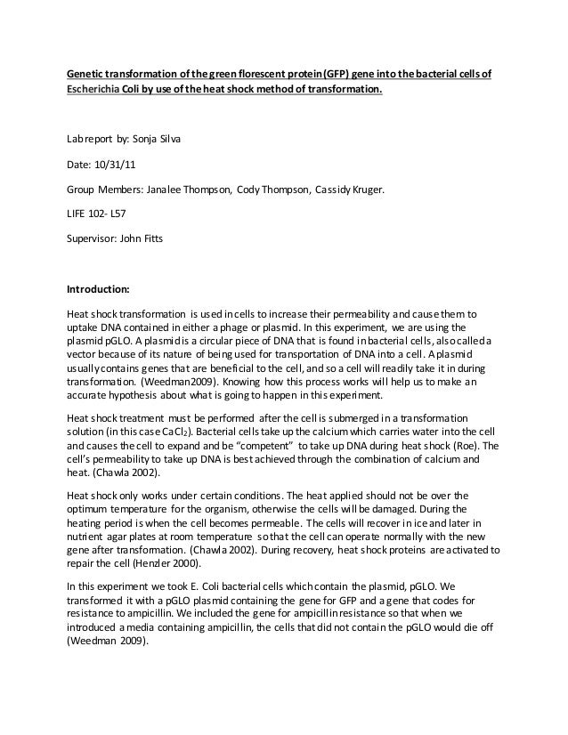 Bacterial transformation lab report