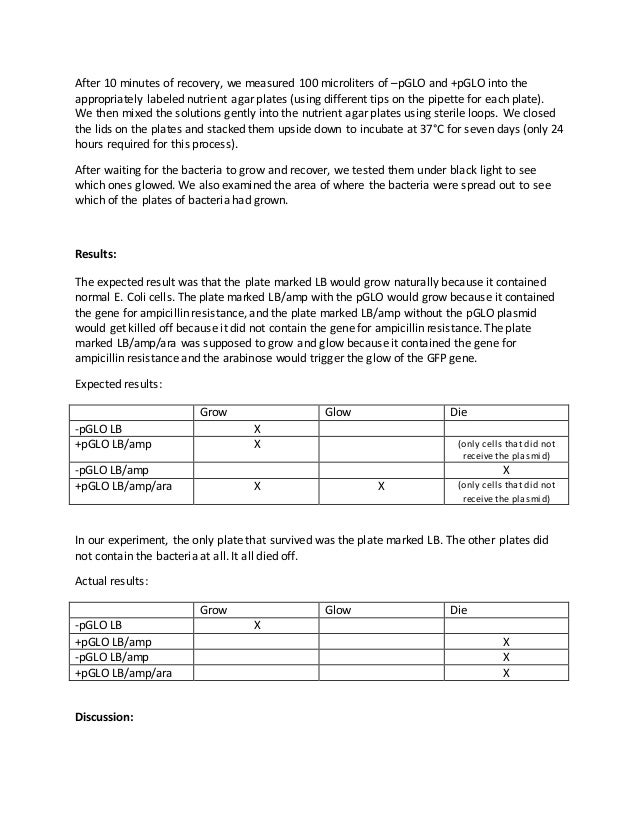Pglo transformation lab purpose picture