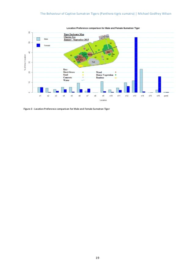 Working thesis generator picture