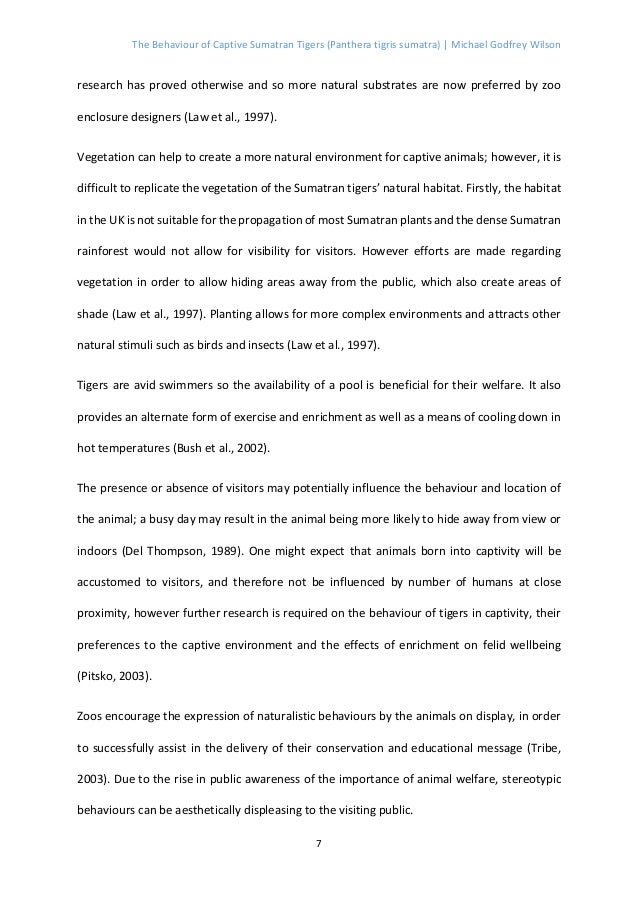 Working thesis for research paper image