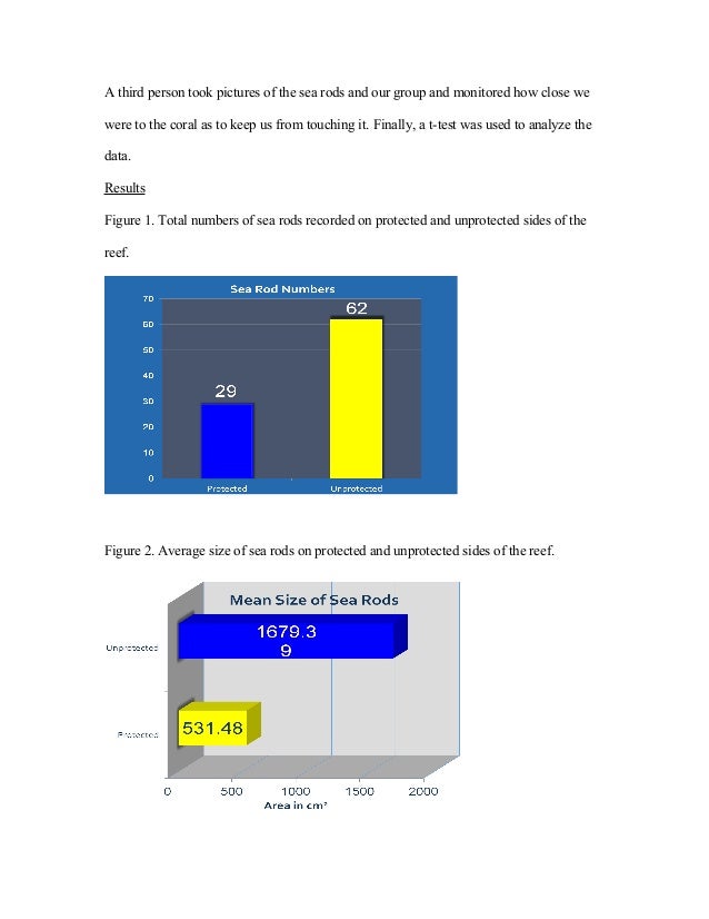 Bahamas research paper 07 picture