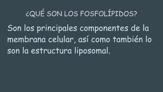 ¿QUÉ SON LOS FOSFOLÍPIDOS?
Son los principales componentes de la
membrana celular, así como también lo
son la estructura liposomal.
 
