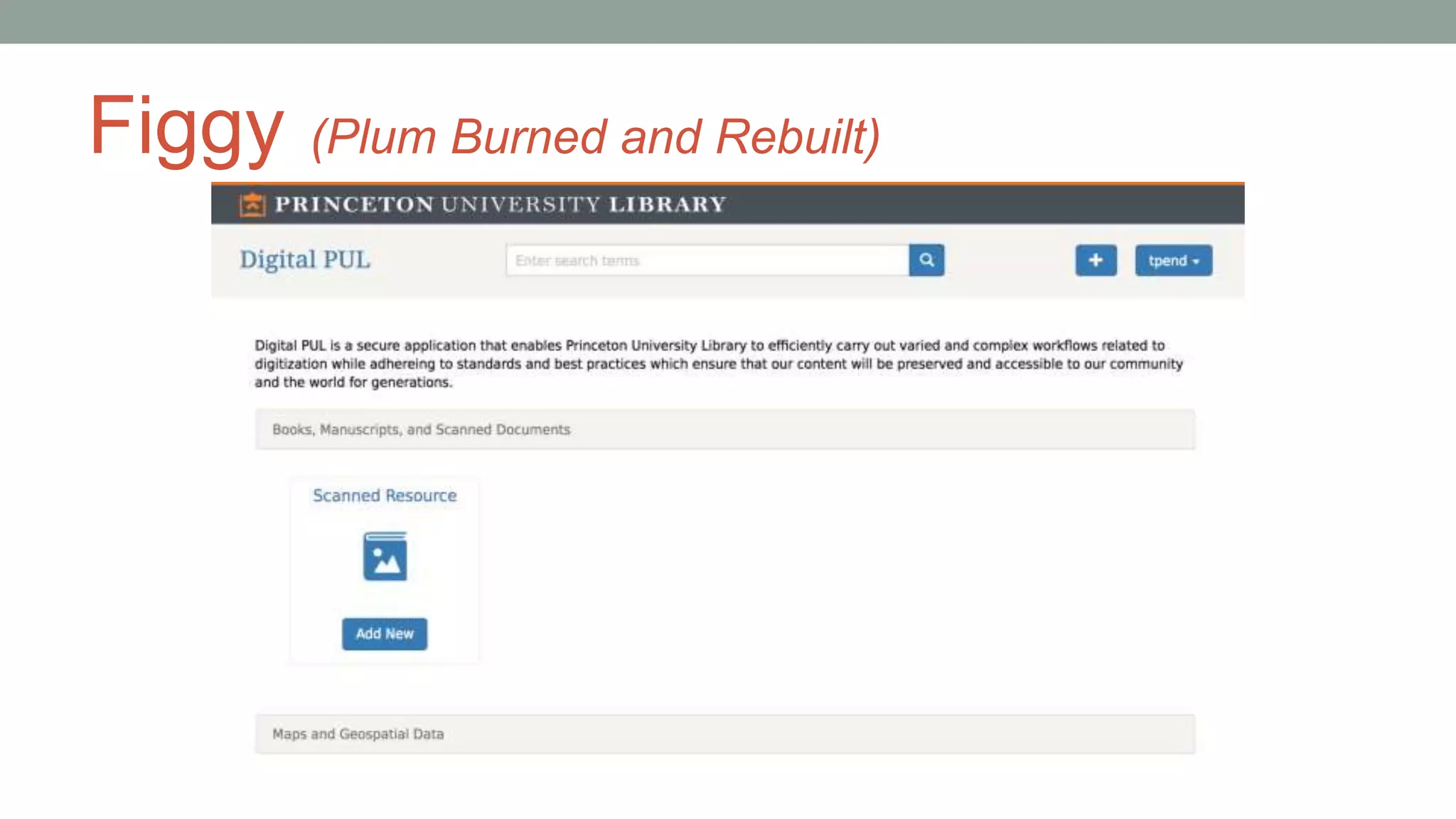 Figgy (Plum Burned and Rebuilt)
 