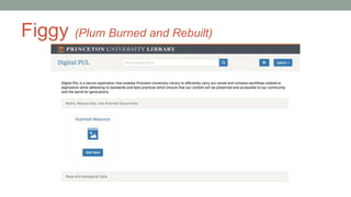 Figgy (Plum Burned and Rebuilt)
 