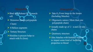 Myoglobin
Bind And Release O2 to muscle
cell.
 Monomer (Single polypeptide
Chain)
 8 Helices segments
 Tertiary Structure
Histidine is present helps to
attach with Fe (Iron)
(Including Muscles)
 Oligomeric nature ( More than one
polypeptide chain)
Actually made up of 2 α and 2 β side
chains
 Quartnery structure
AlsoAttaches with histidine residues
to impart some kind of buffering
11properties to blood
 Take O2
Hemoglobin
From lungs to the tissues
 