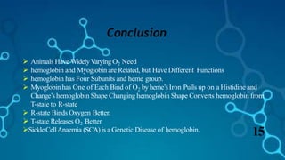 Conclusion
15SickleCellAnaemia (SCA) is a Genetic Disease of hemoglobin.
 Animals Have WidelyVarying O2 Need
 hemoglobin and Myoglobin are Related, but Have Different Functions
 hemoglobin has Four Subunits and heme group.
 Myoglobin has One of Each Bind of O2 by heme’sIron Pulls up on a Histidine and
Change’s hemoglobin Shape Changing hemoglobin Shape Converts hemoglobin from
T-state to R-state
 R-state Binds Oxygen Better.
 T-state Releases O2 Better
 