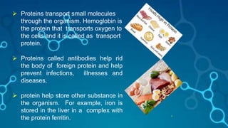 18
 Proteins transport small molecules
through the organism. Hemoglobin is
the protein that transports oxygen to
the cells and it is called as transport
protein.
 Proteins called antibodies help rid
the body of foreign protein and help
prevent infections, illnesses and
diseases.
 protein help store other substance in
the organism. For example, iron is
stored in the liver in a complex with
the protein ferritin.
 