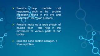 19
 Proteins help mediate cell
responses, such as the protein
rhodopsin, found in the eye and
involved in the vision process.
 Proteins make up a large protein of
muscle fiber and help in the
movement of various parts of our
bodies.
 Skin and bone contain collagen, a
fibrous protein
 