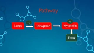 Pathway
4
Lungs
O2
O2
Myoglobin
Tissue
Hemoglobin
 