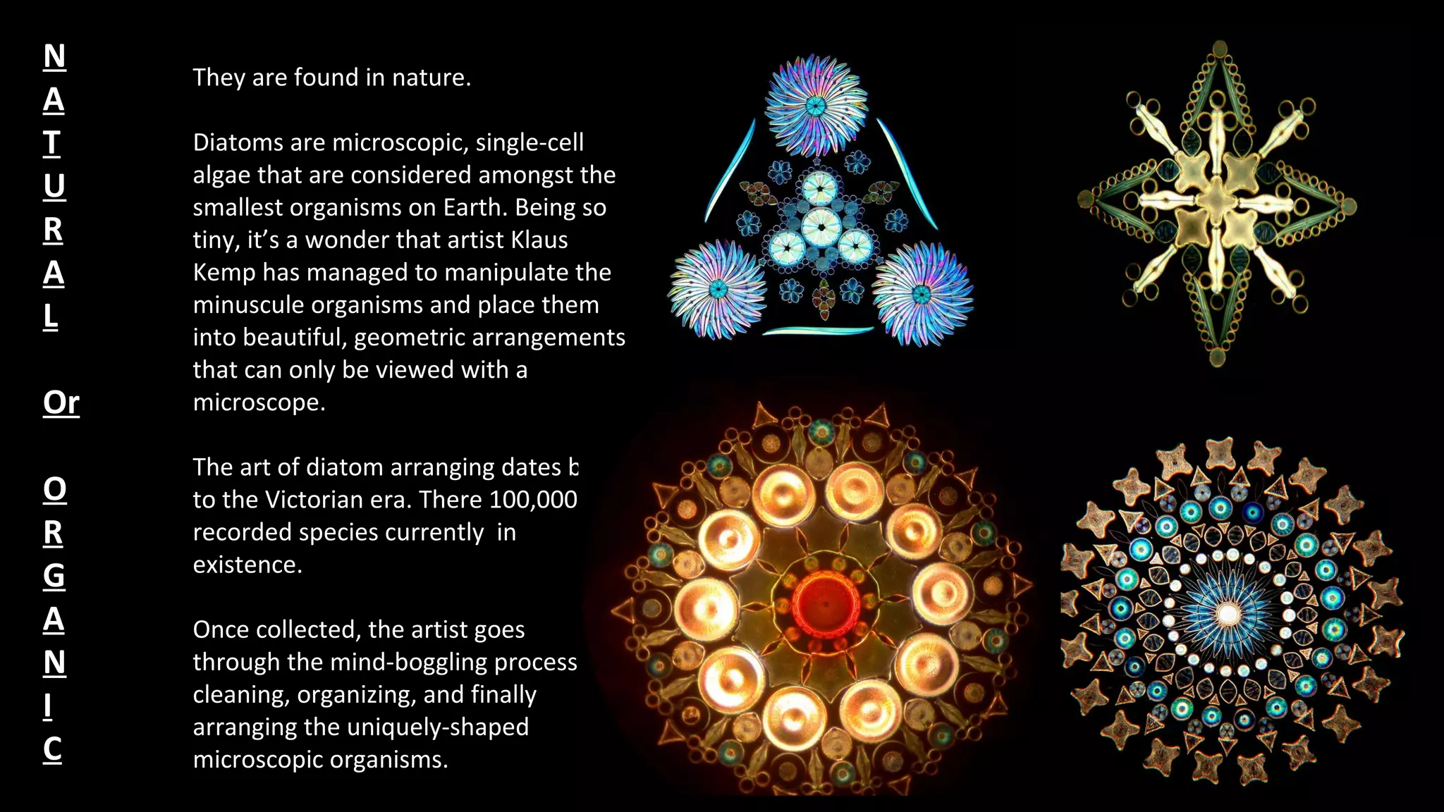 They are found in nature.
Diatoms are microscopic, single-cell
algae that are considered amongst the
smallest organisms on Earth. Being so
tiny, it’s a wonder that artist Klaus
Kemp has managed to manipulate the
minuscule organisms and place them
into beautiful, geometric arrangements
that can only be viewed with a
microscope.
The art of diatom arranging dates back
to the Victorian era. There 100,000
recorded species currently in
existence.
Once collected, the artist goes
through the mind-boggling process of
cleaning, organizing, and finally
arranging the uniquely-shaped
microscopic organisms.
N
A
T
U
R
A
L
Or
O
R
G
A
N
I
C
 