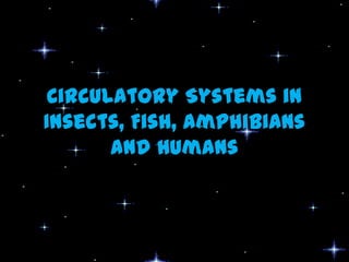 Circulatory Systems in
Insects, Fish, Amphibians
and Humans

 