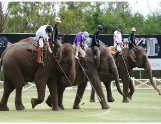 Elephant Polo, Elephant Tango - Partnering with Large firms