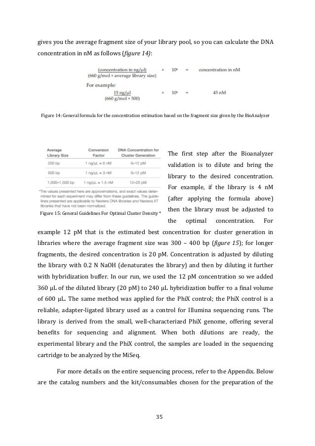 typical dissertation length average thesis length for masters typical dissertation length average thesis length for masters