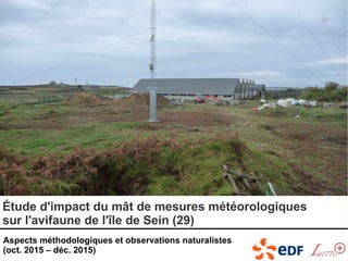Étude d'impact du mât de mesures météorologiques
sur l'avifaune de l'île de Sein (29)
Aspects méthodologiques et observations naturalistes
(oct. 2015 – déc. 2015)
 