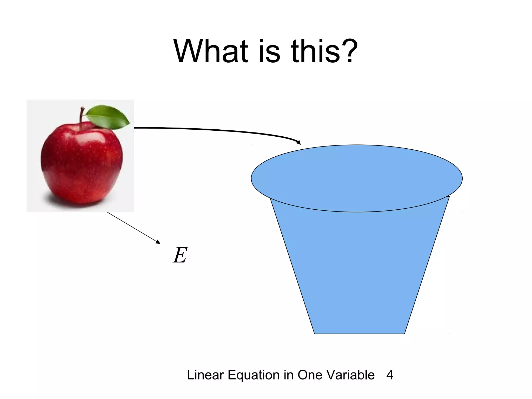 Linear Equation in One Variable 4
What is this?
E
 