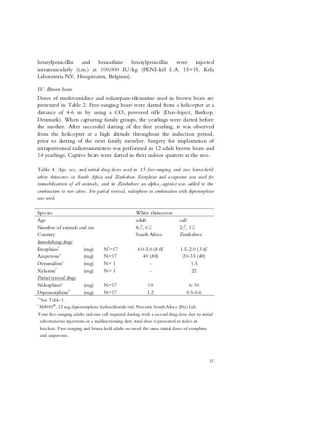 modern youth essay nepal