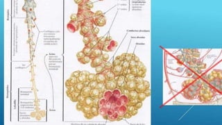 F5415d2ccaee88c362ddb53551e8fd99