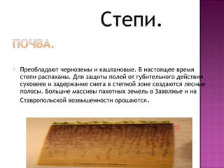  Преобладают черноземы и каштановые. В настоящее время
степи распаханы. Для защиты полей от губительного действия
суховеев и задержание снега в степной зоне создаются лесные
полосы. Большие массивы пахотных земель в Заволжье и на
Ставропольской возвышенности орошаются.
Степи.
 