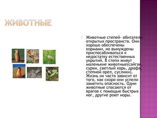  Животные степей- обитатели
открытых пространств. Они
хорошо обеспечены
кормами, но вынуждены
приспосабливаться к
недостатку естественных
укрытий. В степи живут
маленькие животные(сайгак,
сурки, светлый хорь, дрофа,
степной орел, суслики).
Жизнь их часто зависит от
того, как скоро они успели
заметить опасность. Одни
животные спасаются от
врагов с помощью быстрых
ног, другие роют норы.
 