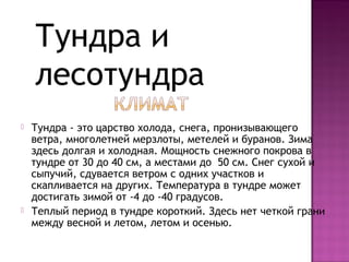  Тундра - это царство холода, снега, пронизывающего
ветра, многолетней мерзлоты, метелей и буранов. Зима
здесь долгая и холодная. Мощность снежного покрова в
тундре от 30 до 40 см, а местами до 50 см. Снег сухой и
сыпучий, сдувается ветром с одних участков и
скапливается на других. Температура в тундре может
достигать зимой от -4 до -40 градусов.
 Теплый период в тундре короткий. Здесь нет четкой грани
между весной и летом, летом и осенью.
Тундра и
лесотундра
 