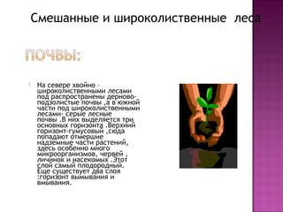  На севере хвойно –
широколиственными лесами
под распространены дерново-
подзолистые почвы ,а в южной
части под широколиственными
лесами- серые лесные
почвы .В них выделяется три
основных горизонта .Верхний
горизонт-гумусовый ,сюда
попадают отмершие
надземные части растений,
здесь особенно много
микроорганизмов, червей ,
личинок и насекомых .Этот
слой самый плодородный.
Еще существует два слоя
:горизонт вымывания и
вмывания.
Смешанные и широколиственные леса
 