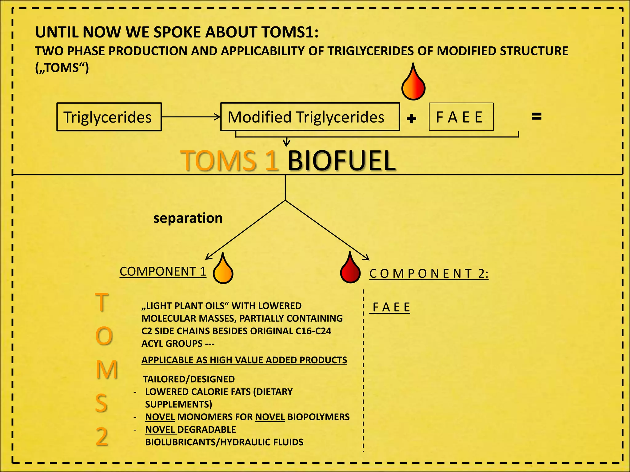 UNTIL NOW WE SPOKE ABOUT TOMS1:
TWO PHASE PRODUCTION AND APPLICABILITY OF TRIGLYCERIDES OF MODIFIED STRUCTURE
(„TOMS“)
Triglycerides Modified Triglycerides F A E E+
TOMS 1 BIOFUEL
separation
COMPONENT 1 C O M P O N E N T 2:
F A E E„LIGHT PLANT OILS“ WITH LOWERED
MOLECULAR MASSES, PARTIALLY CONTAINING
C2 SIDE CHAINS BESIDES ORIGINAL C16-C24
ACYL GROUPS ---
APPLICABLE AS HIGH VALUE ADDED PRODUCTS
TAILORED/DESIGNED
- LOWERED CALORIE FATS (DIETARY
SUPPLEMENTS)
- NOVEL MONOMERS FOR NOVEL BIOPOLYMERS
- NOVEL DEGRADABLE
BIOLUBRICANTS/HYDRAULIC FLUIDS
T
O
M
S
2
=
 