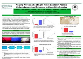 A
INTRODUCTION
METHOD
RESULTS
REFERENCES
DISCUSSION
Rachel S. Clein, Ingrid K. Tulloch, Larry D. Fort, Shanice L. Hastings & Sarthak Shah
Stevenson University, Stevenson, Maryland.
For more information contact rclein@Stevenson.edu
HYPOTHESES
ACKNOWLEDGEMENTS
Varying Wavelengths of Light Alters Serotonin Positive
Cells and Associated Behaviors in Coenobita clypeatus
Light pollution can have profound impacts on the physiology and behavior of many
organisms. Coenobita clypeatus is a crustacean species typically known as the purple
pincer hermit crab. These crabs are of ecological and commercial importance on the
eastern shore of Maryland. However, human activity can and has altered environmental light
in the habitat of this organism. We therefore sought to examine the physiological and
behavioral effects of varying environmental light conditions in C. clypeatus. In our previous
studies, we demonstrated that short wavelength light (blue) exposure resulted in increased
feeding behaviors and decreases in all other activities (Fort & Tulloch, 2016). We also
observed decreases in feeding and increases in aggression and exploratory behaviors when
exposed to longer wavelengths, such as red light (Fort & Tulloch, 2016).
We aimed to replicate our previous behavioral studies and pilot-test a neurochemical
response thought to be involved in feeding and aggressive behaviors (Briffa & Elwood,
2007; Frazer & Hensler,1999). The neurochemistry examined was the number of serotonin
(5-HT) positive cells in the hermit crab eyestalk after chronic exposure to red or blue light.
We hypothesized that 5-HT positive cells in the eyestalk would be greater in crabs exposed
to red light compared to crabs exposed to blue light, and that there would be a relationship
between the duration of behaviors and the number of 5-HT positive cells.
Figure 1. Varying Light Conditions. Tank 1 as it appeared under red light conditions 620-750 nm (left), under blue light conditions at
450-495 nm (middle), and under natural light (right). Data presented in previous work showed blue and red light behaviors differed
from behaviors under natural light (Fort and Tulloch, 2016)
Day 1 – 6 Habituation
to Terrarium and
Natural Light
Day 7-9
Red or Blue Light
Exposure
Day 9
Euthanization and
Dissection of
Eyestalks
After Dissection
Serotonin
Immunohistochemistry
Hermit crabs of both sexes (n = 6) were weight matched and given food and water ad libitum under constant
temperature and humidity.
Video recordings were taken between 6:30 and 10:30 pm for nine days and the following behaviors coded
and quantified.
 Feeding Behaviors: entering food dish and touching food with pincers, eating food, drinking water
 Aggressive Behaviors: mounting other crabs’ shells, fighting other crabs
 Exploratory Behaviors: climbing around shelter, touching other crabs’ shells, touching objects in the
shelter
5-HT positive cells were labeled by immunohistochemistry using Rabbit anti-serotonin antibody and visualized
using Goat Anti-Rabbit secondary antibody with DAB Peroxidase. They were quantified with NIH ImageJ
software using cell counter add-on.
Figure 5. Representative image of immunohisotochemical staining of eyestalk
tissue from a crab exposed to red light (a) and a crab exposed to blue light (b).
0
5
10
15
20
25
30
35
40
45
50
0 10 20 30 40 50 60 70 80
DurationofFeedingBehavior
(Minutes)
Number of Positive 5-HT Cells
Figure 2. Mean duration of feeding behavior per light condition (a), and scatterplot of its correlation
with 5-HT- positive cells (b). Duration of feeding behavior decreased under red light [t(4) = -8.103,
p = 0.001.] and was negatively correlated with number of positive 5-HT cells (r = -.930, p =
0.007).
Figure 3. Mean duration of aggressive behaviors per light condition (a), and scatterplot of its
correlation with the number of positive 5-HT cells (b). Duration of aggressive behavior increased
under red light. [t(4) = 5.358, p = 0.006] and was positively correlated with the number of 5-HT
positive cells ( r = .875, p = 0.022).
Figure 4. Mean duration of exploratory behaviors per light condition (a) and scatterplot of its
correlation with the number of 5-HT-positive cells (b). Duration of exploratory behaviors [t(4) =
3.313, p = 0.030] increased under red light and was positively correlated with 5-HT-positive cells
(r = .843, p = 0.035).
 Significant decreases in feeding and increases in aggression and exploration under
red light conditions support our previous findings that varying wavelength of light
alters behaviors in C. clypeatus.
 Duration of these behaviors correlate with serotonin positive cells in the eyestalk,
suggesting a role for serotonin the behavioral response to varying wavelength of light.
 The findings provide a novel method for examining the effects of light pollution on
physiology and behavior in an invertebrate model.
 Future studies will replicate the experiment with a larger number of organisms and a
between-groups design that includes baseline light.
 Direct manipulation of serotonin under varying light conditions might also provide
mechanistic explanation for these findings.
Briffa, M., & Elwood, R.W. (2007). Monamines and decision making during contests in the
hermit crab Pagurus bernhardus. Animal Behavior, 73, 605-612.
Fort, L & Tulloch I.K. (2016) Behaviors of a captive Coenobita clypeatus in the presence of
varying light stimuli. Modern Psychological Studies 21(2): 23-32
Frazer, A., & Hensler, J.G. (1999). Serotonin. In Siegel, G.J., Agranoff, B.W., Albers, R.W.
(Eds.), Basic Neurochemistry: Molecular, Cellular and Medical Aspects. (6th ed.).
Philadelphia, PA: Lippincott-Raven.
This research is made possible through funding from Stevenson University School of
Humanities and Social Sciences and Department of Psychology. Research infrastructure
access provided by Stevenson University School of Sciences.
Feeding Behaviors and 5-HT Cells
Aggressive Behaviors and 5-HT Cells
Exploratory Behaviors and 5-HT Cells
2a 2b
3a 3b
*
*
4a 4b*
5-HT-Positive Cells in Eyestalk Tissue
5a 5b
Figure 6. Mean number of positive 5-HT cells per light
condition. Greater 5-HT cells were in the eyestalks of crabs
exposed to red light than crabs exposed to blue light t(4) =
12.102, p = .000.
5-HT-Positive Cells per Light Condition
*
0
10
20
30
40
50
0 10 20 30 40 50 60 70
DurationofExploratory
Behaviors(MInutes)
Number of Positive 5-HT Cells
0
2
4
6
8
10
12
14
16
18
0 10 20 30 40 50 60 70
DurationofAggressiveBehaviors
(Minutes)
Number of Positive 5-HT Cells
 