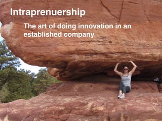 The art of doing innovation in an
established company
Intraprenuership
 