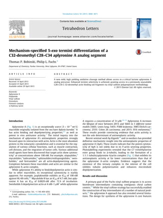 Mechanism-speciﬁed 5-exo termini differentiation of a
C32-desmethyl C28–C34 aplyronine A analog segment
Thomas P. Bobinski, Philip L. Fuchs ⇑
Department of Chemistry, Purdue University, West Lafayette, IN 47907, United States
a r t i c l e i n f o
Article history:
Received 14 April 2015
Accepted 23 April 2015
Available online 29 April 2015
Keywords:
Aplyronine A
Polyketide
Vinyl sulfone
Ozonolysis
Osmium catalysis
a-Hydroxy lactol
a b s t r a c t
A new mild, high yielding oxidative cleavage method allows access to a critical lactone aplyronine A
analog precursor. Enhanced termini selectivity is achieved, granting access to a previously unavailable
C28–C34 C-32-desmethyl actin binding tail fragment via vinyl sulfone polypropionate methodology.
Ó 2015 Elsevier Ltd. All rights reserved.
Introduction
Aplyronine A (Fig. 1) is an exceptionally scarce (3 Â 10À7
wt %)
macrolide originally isolated from the sea hare Aplysia kurodai.1
It
has actin binding and depolymerizing properties,2,3
as well as
potent in vivo antitumor activity.1
The initial inquiry into the
mechanism of aplyronine A’s antineoplastic properties strongly
focused upon its interaction with actin. Actin is the most abundant
protein in the eukaryotic cytoskeleton and is essential for the reg-
ulation of various cellular functions, such as muscle contraction,
cell division, and the migration of tumor cells. Various additional
small agents have been discovered that target actin show cytotox-
icity2
at concentrations above 100 nM. For example, ulapualides,4
mycalolides,5
kabiramides,6
sphinxolides/reidispongiolides,7
swin-
holides,7
and bistramides8
are all actin-depolymerizing agents.
Complexes between these macrolides and actin are similar to the
aplyronine A–actin complex.
While aplyronine A’s ability to bind/depolymerize actin is sim-
ilar to other macrolides, its exceptional cytotoxicity is starkly
apparent. For example, jasplakinolide exhibits an IC50 of 100 nM
against HL-60 cells,9,7
Mycalolide B has an IC50 of 4.7 nM; but aply-
ronine A has an IC50 of 0.0029 nM after 72 h of incubation.
Swinholide A depolymerizes actin at 4 nM–1 lM7
while aplyronine
A requires a concentration of 31 lM.10–13
Aplyronine A increases
the lifespan of mice between 201% and 566% in 5 different tumor
models (566%: Lewis lung; 545%: P388 leukemia; 398% Ehrlich car-
cinoma; 255%: Colon 26 carcinoma; and 201%: B16 melanoma).9
These results provide convincing evidence that actin activity is
not the sole determinant of antineoplastic activity.
Recent seminal work by Kigoshi14
and co-workers has provided
deﬁnitive mechanistic insight into the antineoplastic properties of
aplyronine A (ApA). These results indicate that the potent cytotox-
icity of ApA is not solely due to its F-actin severing properties.
Photolabelling experiments revealed that the C7 trimethylserine
ester group binds to b-tubulin, leading to the formation of a
1:1:1 tubulin/aplyronine A/actin complex (Fig. 1) that exhibits its
antineoplastic activity at far lower concentrations than that of
the aplyronine A–actin complex. Evidence suggests that the
existence of this ternary complex in the interior of the cell
inhibits tubulin polymerization and enhances microtubule
depolymerization.
Results and discussion
A primary goal of the Fuchs vinyl sulfone program is to access
biorelevant intermediates containing contiguous chiral carbon
centers.15
While the vinyl sulfone strategy has successfully enabled
the construction of key intermediates of a number of natural prod-
ucts,15
the aplyronine A approach has also revealed several limita-
tions. The design for synthesis of the aplyronine A core features
http://dx.doi.org/10.1016/j.tetlet.2015.04.098
0040-4039/Ó 2015 Elsevier Ltd. All rights reserved.
⇑ Corresponding author. Tel.: +1 765 494 4292.
E-mail addresses: tbobinsk@purdue.edu (T.P. Bobinski), pfuchs@purdue.edu
(P.L. Fuchs).
Tetrahedron Letters 56 (2015) 3868–3871
Contents lists available at ScienceDirect
Tetrahedron Letters
journal homepage: www.elsevier.com/locate/tetlet
 